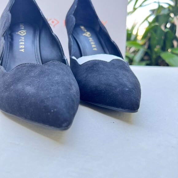 Katy Perry Scalloped Pointy Toe Pumps Stiletto Heels - The Dina Sz 11M in Black - Picture 3 of 11